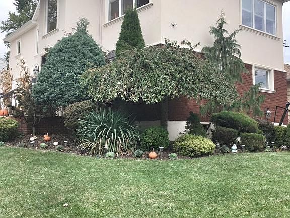 3rd image of 115 Osborn Ave