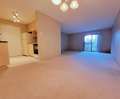 12 Village Green Ln Photo 1