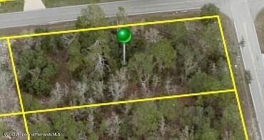 2nd image of Nightingale Rd
