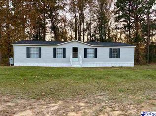 1729 Karudy Cir, Effingham, SC 29541