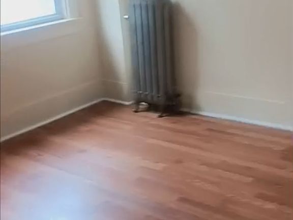 5th image of 225 Pittston Ave