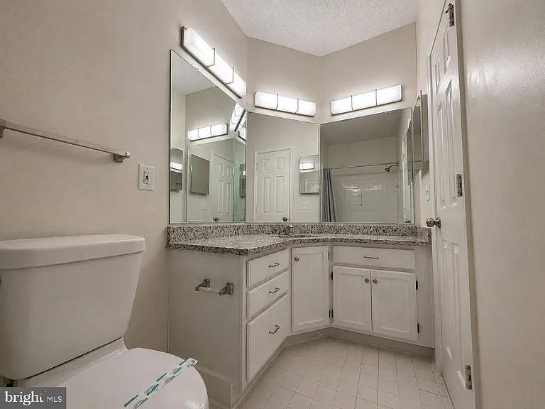 14314 Climbing Rose Way #102 — Photo 22