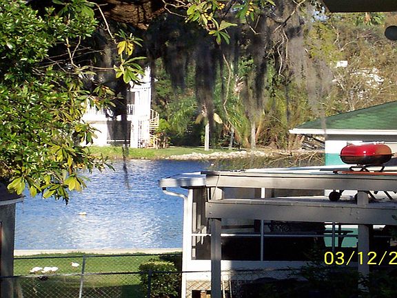 View from BackYard of River