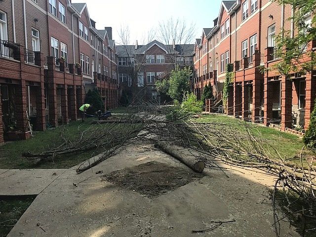 1st image of 825 E 52nd St Unit 9