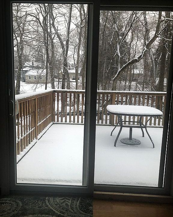 Back yard view from kitchen.