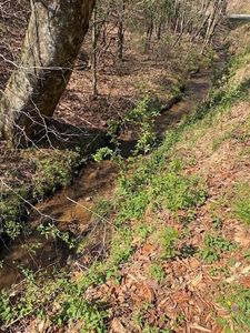 N Marley Ford Rd, Ferguson, NC, 28624