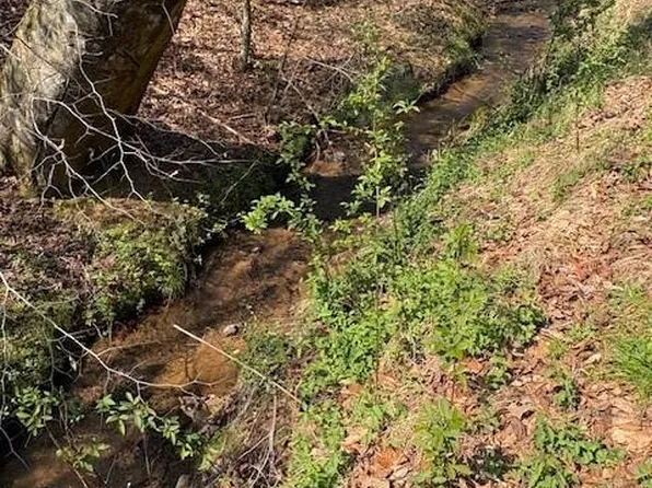 N Marley Ford Rd, Ferguson, NC 28624