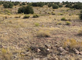 5349 W Mile High Dr #B, Williams, AZ 86046
