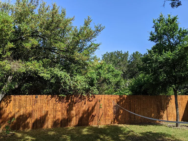 greenbelt backyard