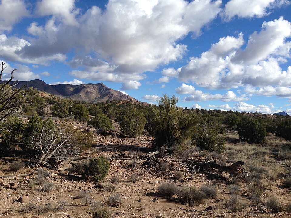 1st image of 2354 N Holly Hill