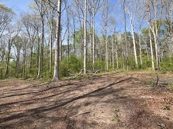 4th image of 611 County Road 1568