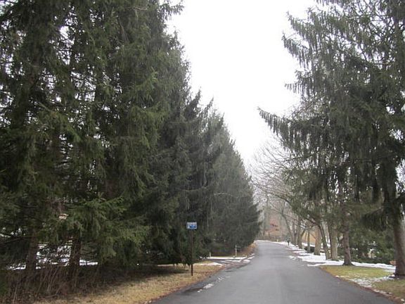 5th image of 1320 Neva Dr