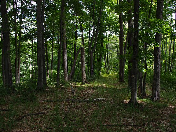3rd image of Lot #78 The Reserve At Boyne Mountain #Lot #78