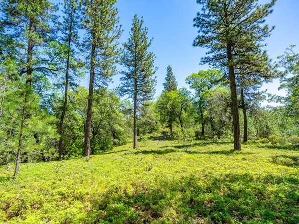 17050 Alicia Dr, Pioneer, CA 95666