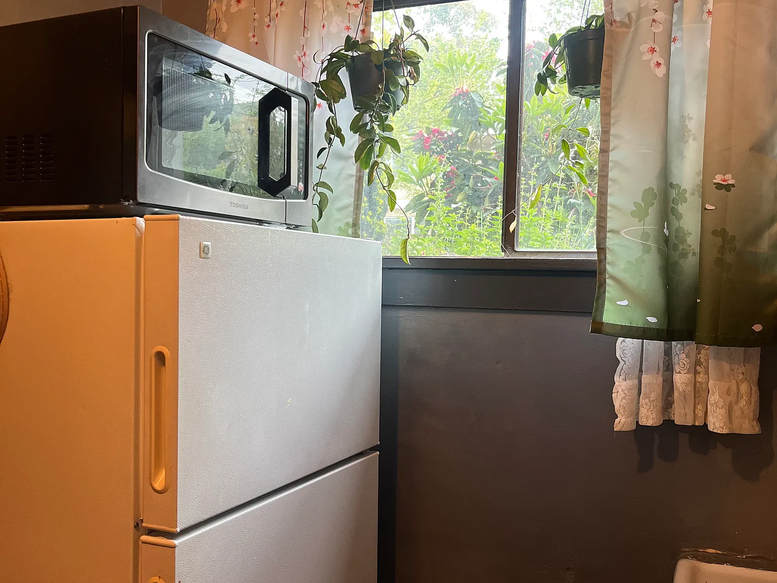 224 Florentia St — Photo 4