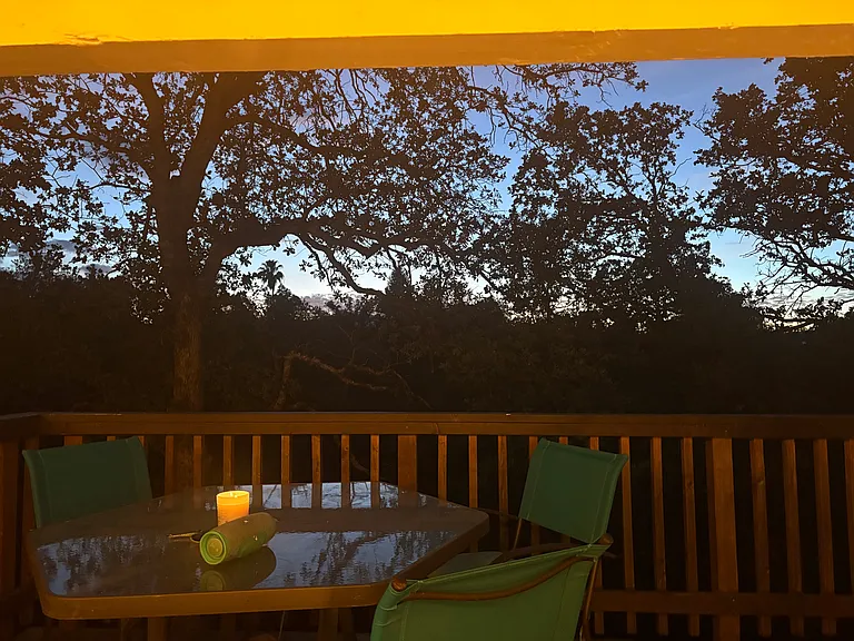 Sandra Ct — Photo 16