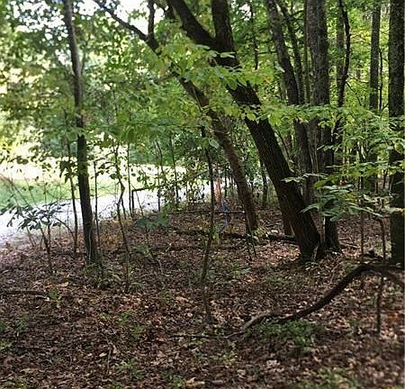 3rd image of 617 Byrd Mountain Ln