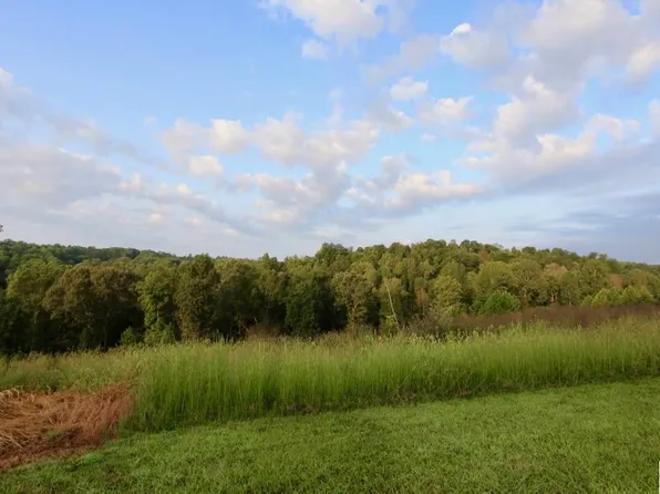 11 Rose Ln, Eddyville, KY 42038