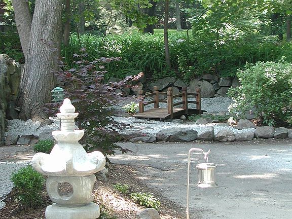 Front yard