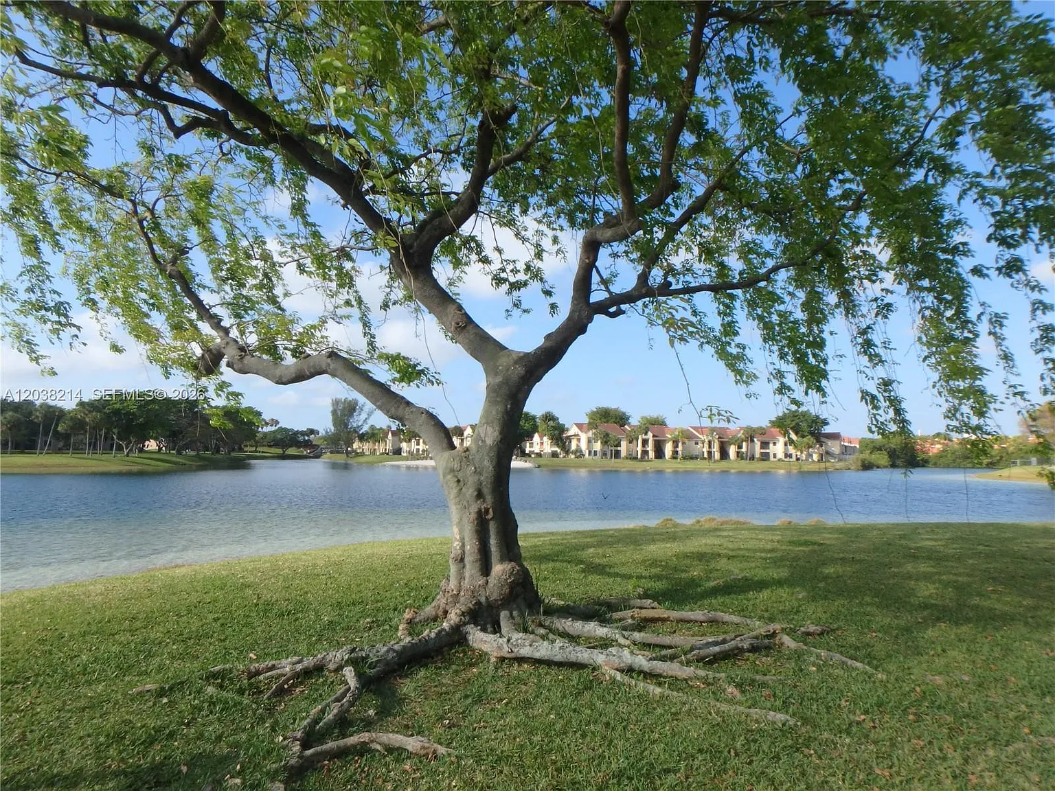 Lakeview At The Hammocks — Photo 4