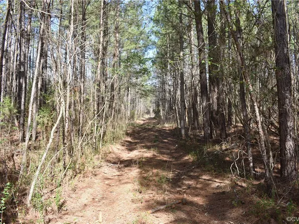 0 Lewis Tyler Ln, Charles City, VA 23030