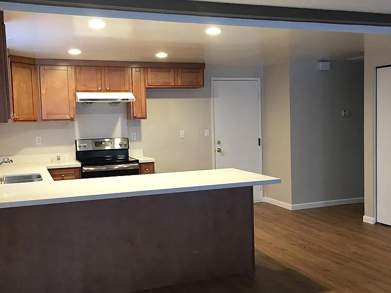 4483 Silverberry Ct — Photo 8