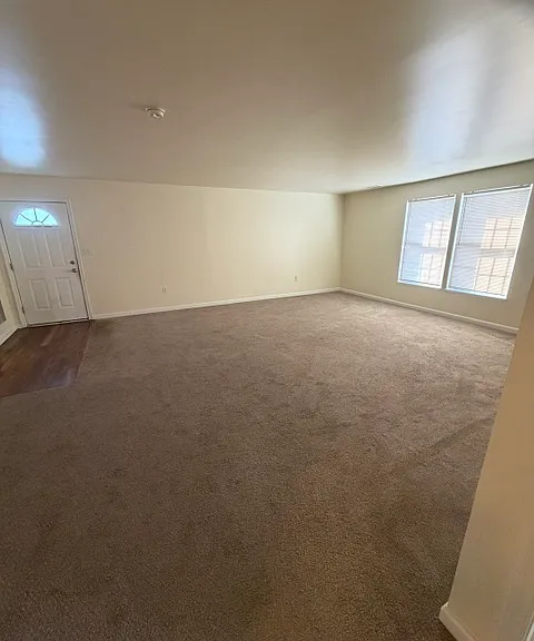 Very large living room with double window and freshly cleaned carpet