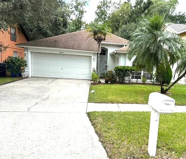 Long Meadow Drive, Tampa — Photo 1