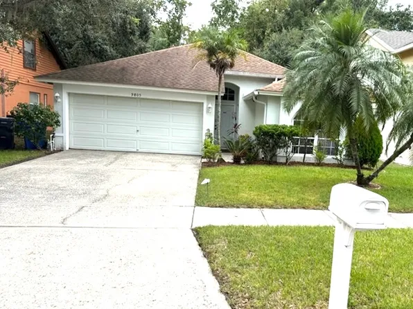 9805 Long Meadow Dr, Tampa, FL 33615