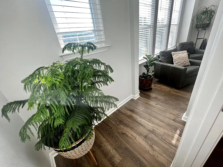 1114 Freeport Dr — Photo 12