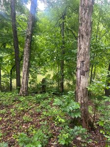 124 Woodfield Estate Dr Lot 124-128, Cadiz KY - Owner Finance Home
