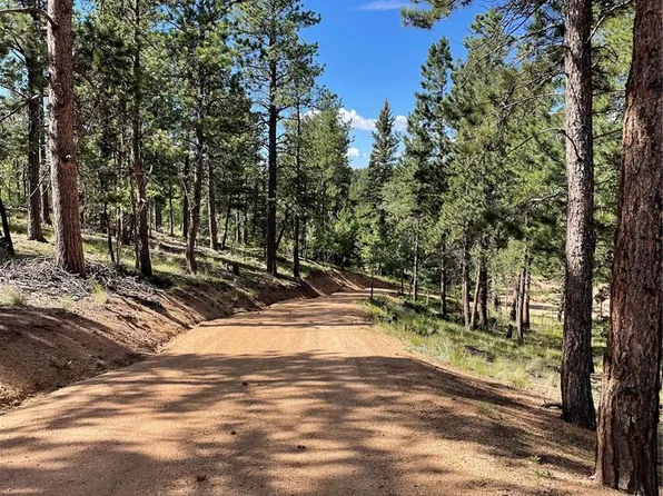 464 Saddleback Creek Drive, Florissant, CO 80816