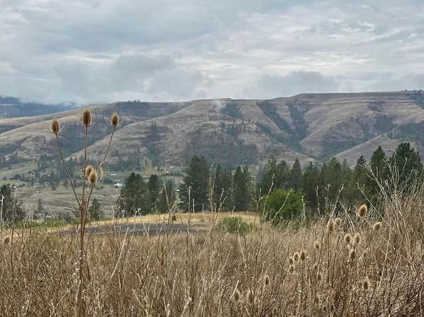 329 Battle Ridge Rd, Kooskia, ID 83539