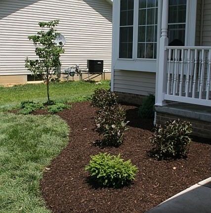 Front Landscaping
