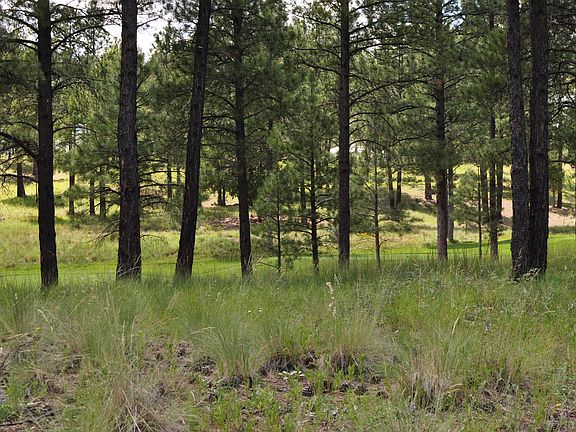 4th image of 3141 S Solitaires Canyon Dr