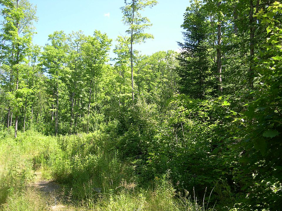 1st image of Tbd Hwy Us #41