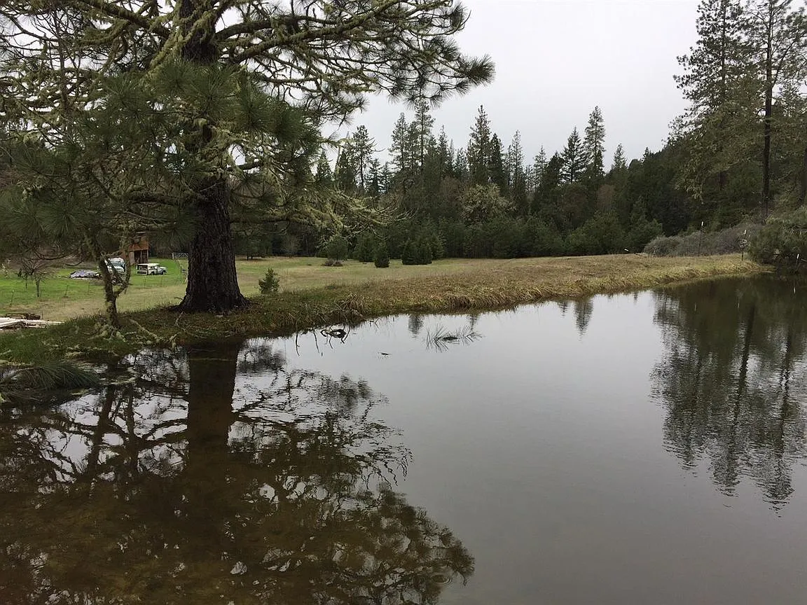 2750 Caves Hwy photo 1