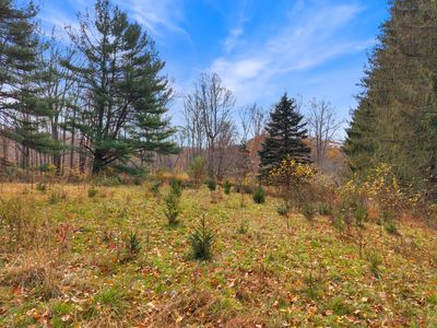 247 C Old Toll Road, Madison, CT, 06443