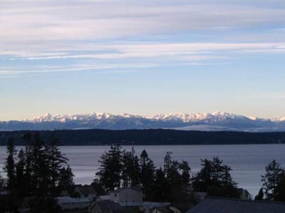 Winter view from kitchen