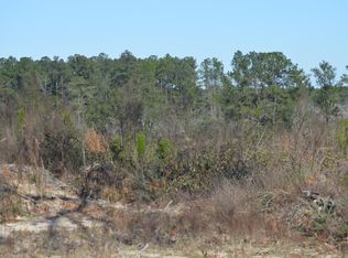 Xxx New Ebenezer Rd, Laurel Hill, FL 32567