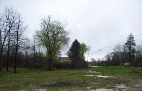 2nd image of Coombs