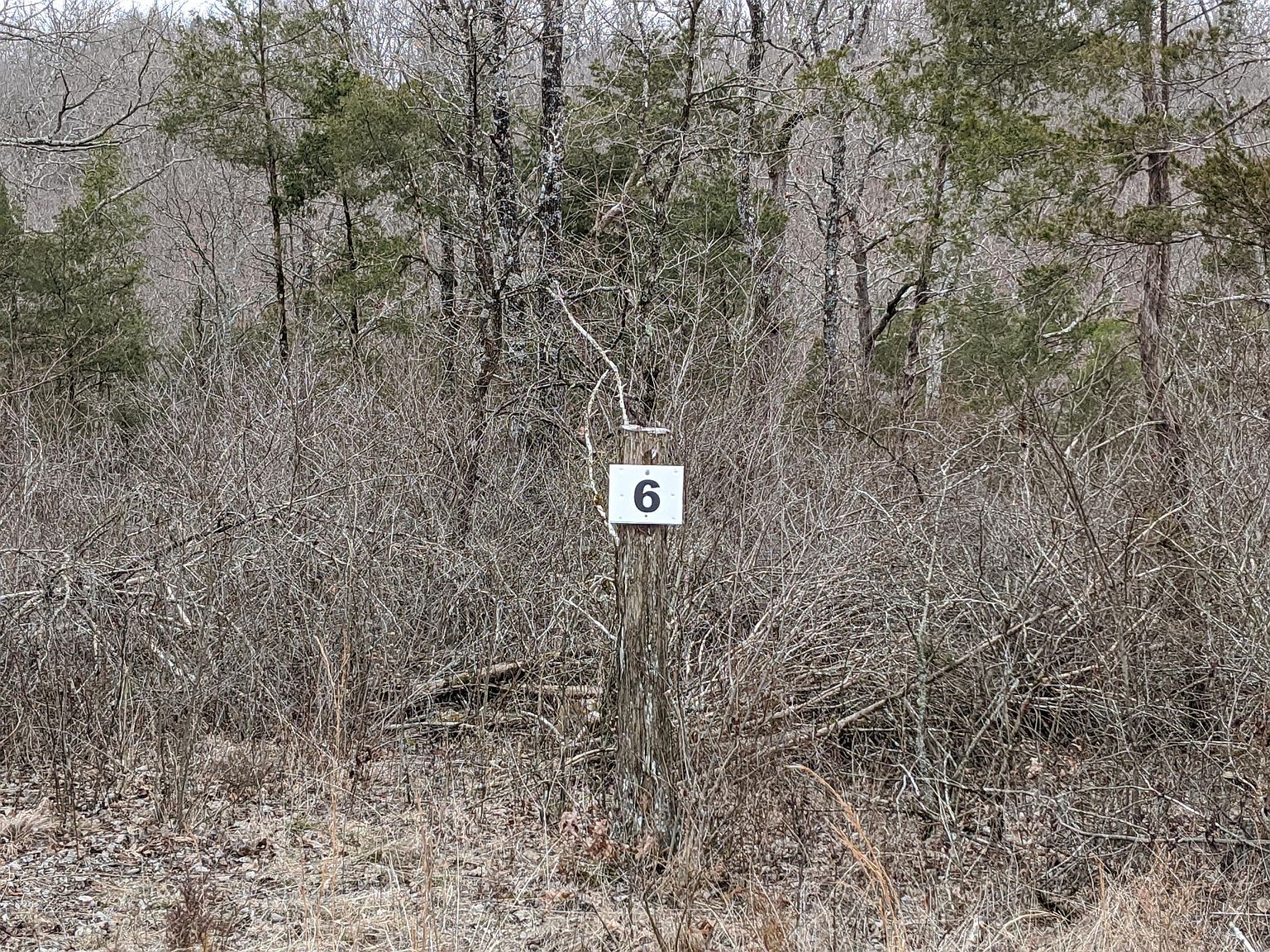 361 Shore Acre Dr. Dr, Powersite, MO 65731 Zillow