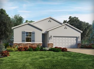 34381 Evergreen Hill Ct, Wesley Chapel, FL 33545