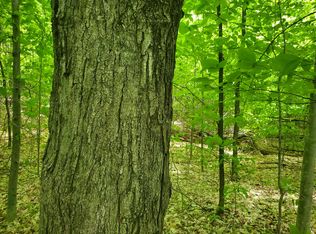 W Miller Rd, Mio, MI 48647