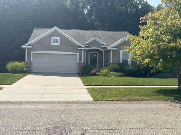 16991 Birchview Dr, Nunica, MI 49448
