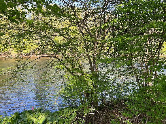 3rd image of 8120 Thornapple River Dr SE