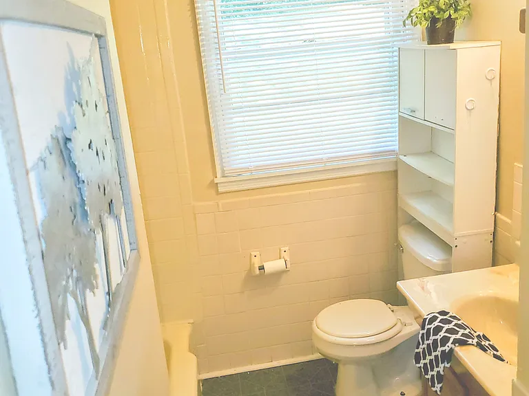 walk in tub/shower combination