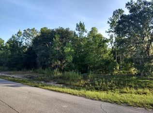 SW 152nd Ter LOT 13, Ocklawaha, FL 32179