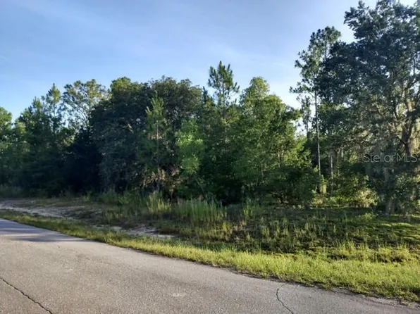 Guava Pass Lot 6, Ocala, FL 34471