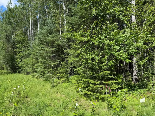 Town Rd #211, International Falls, MN 56649